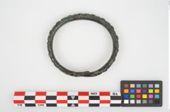 Foto von Bronzearmreif (NHMW-PRAE-026276)